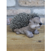 Hedgehog