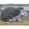 Hedgehog