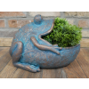 Frog Planter