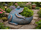 Frog Planter