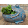 Frog Planter