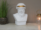 White Bust