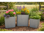 Set Of 3 Planters
