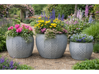 Set Of 3 Planters