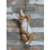 Hanging Rabbit