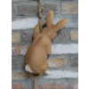 Hanging Rabbit