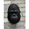 Gorilla Head