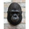 Gorilla Head