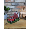 Squirrel Grasscutter