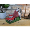 Squirrel Grasscutter