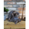 Happy Tortoises