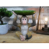 Monkey Leaf Dish