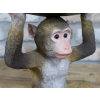 Monkey Leaf Dish