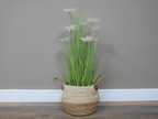 Basket / Planter