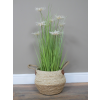 Basket / Planter