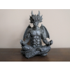Meditating Dragon