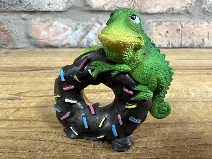 Lizard On A Doughnut
