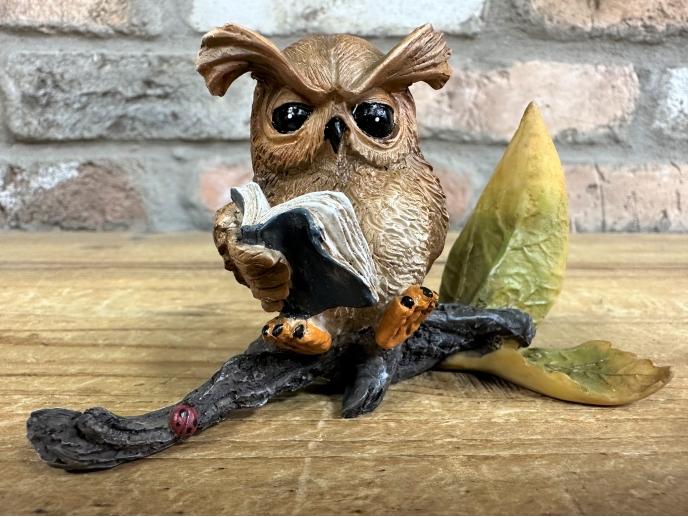 Owl Reading