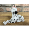 Dalmatian