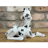Dalmatian