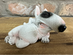 Smirking Dog