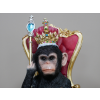 King Of The Jungle