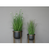 Set Of 2 Planters