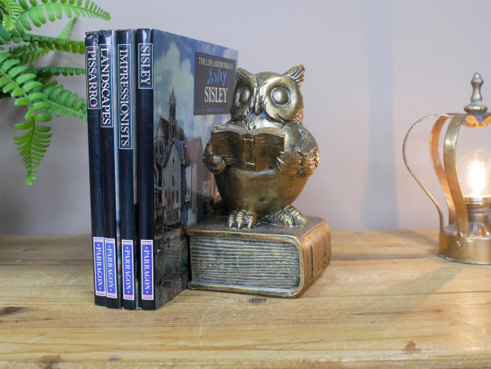 Reading Owl