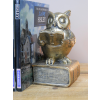 Reading Owl
