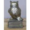 Reading Owl