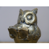 Reading Owl
