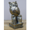 Owl Stood On Books