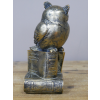 Owl Stood On Books