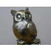 Owl Stood On Books