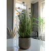 Aluminium Planter