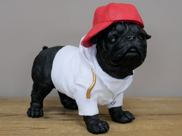 Dog With Cap