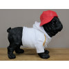 Dog With Cap