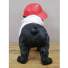 Dog With Cap