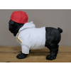 Dog With Cap