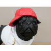 Dog With Cap