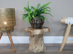Root Side / Plant Stand