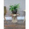 Root Side / Plant Stand
