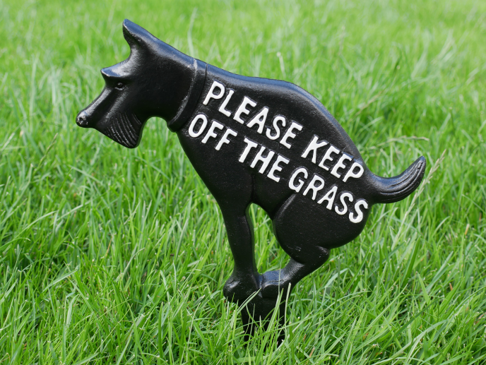 Grass Spike