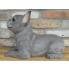 Laying Dog (Frenchie)