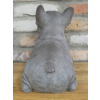 Laying Dog (Frenchie)