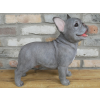 Standing Dog (Frenchie)