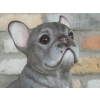 Sitting Dog (Frenchie)