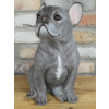 Sitting Dog (Frenchie)