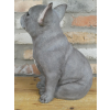Sitting Dog (Frenchie)