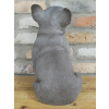 Sitting Dog (Frenchie)